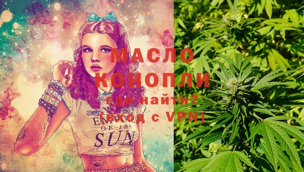 дживик Елабуга