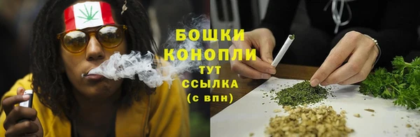 дживик Елабуга