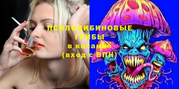 дживик Елабуга