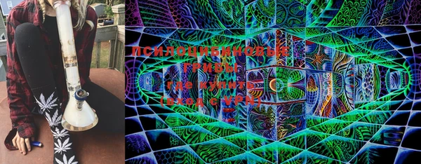прущая мука Ельня