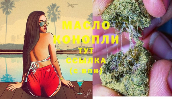 дживик Елабуга