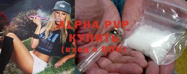 дживик Елабуга
