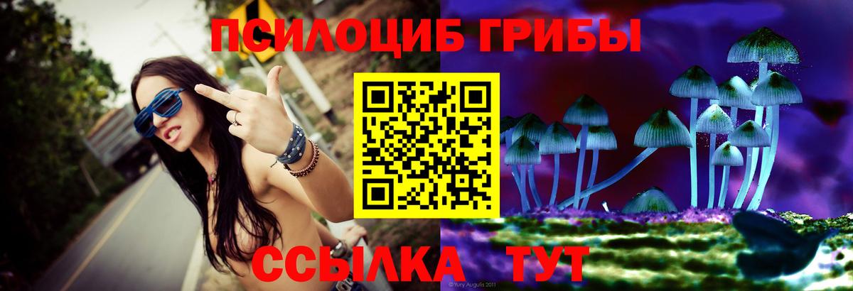 Галлюциногенные грибы MAGIC MUSHROOMS  Славгород 