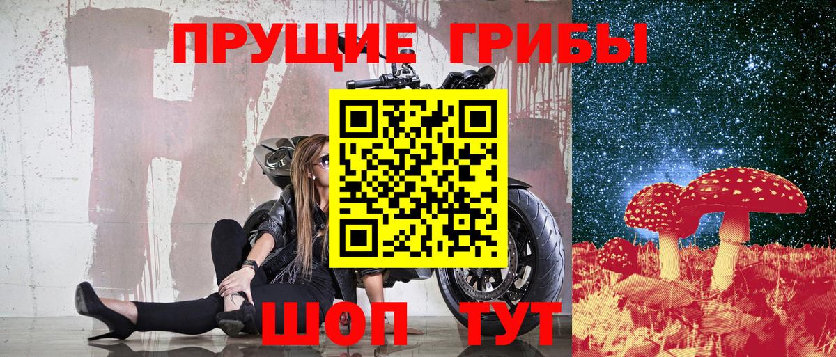 сколько стоит  Псилоцибиновые грибы Magic Shrooms  Вход с VPN  Славгород 